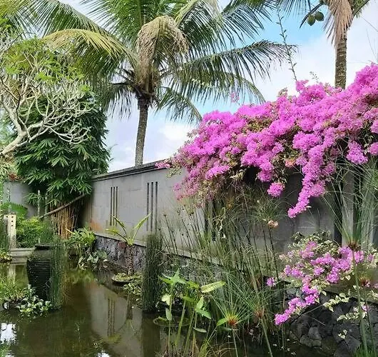 Bukit Temawang Near Sidemen And Mount Agung ヴィラ