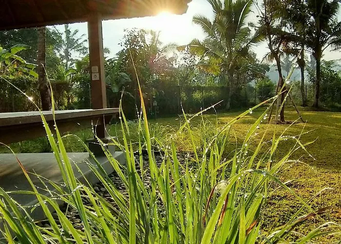 Bukit Temawang Near Sidemen And Mount Agung * Selat