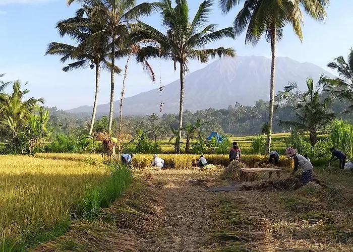 Bukit Temawang Near Sidemen And Mount Agung *
