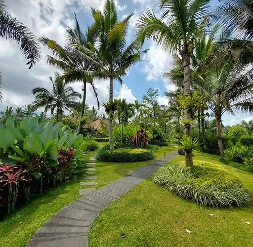 Bukit Temawang Near Sidemen And Mount Agung Selat