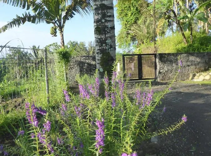 Bukit Temawang Near Sidemen And Mount Agung ヴィラ